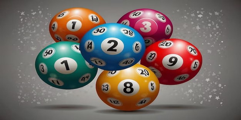 Bắt lô kẹp nuôi khung 3 ngày mang lại hiệu quả cao cho người chơi