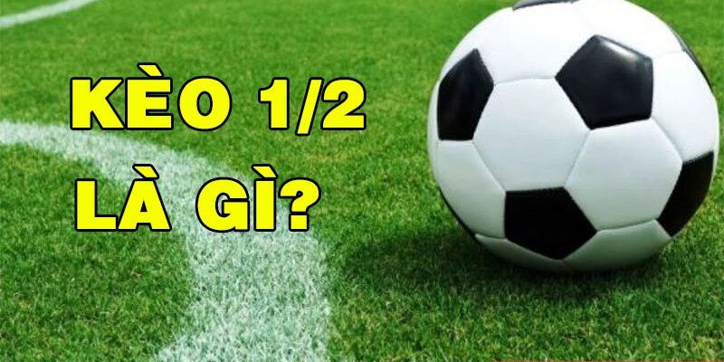 Kèo 1/2 nghĩa là gì trong cá độ bóng đá 
