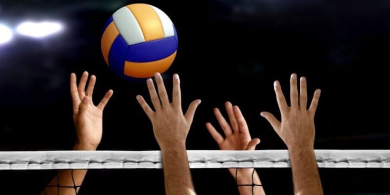 Cá cược bóng chuyền luôn hấp dẫn nhiều bet thủ tham gia