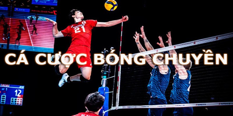 Cá Cược Bóng Chuyền