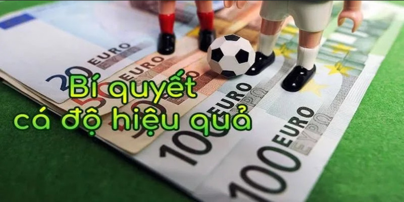 Cược bóng đá hiệu quả là gì?