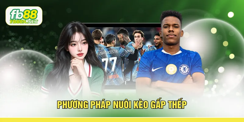 Phương pháp nuôi kèo gấp thếp