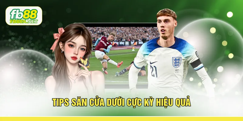 Tips săn cửa dưới cực kỳ hiệu quả