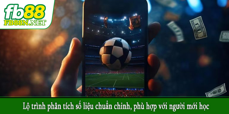 Lộ trình phân tích số liệu chuẩn chỉnh, phù hợp với người mới học