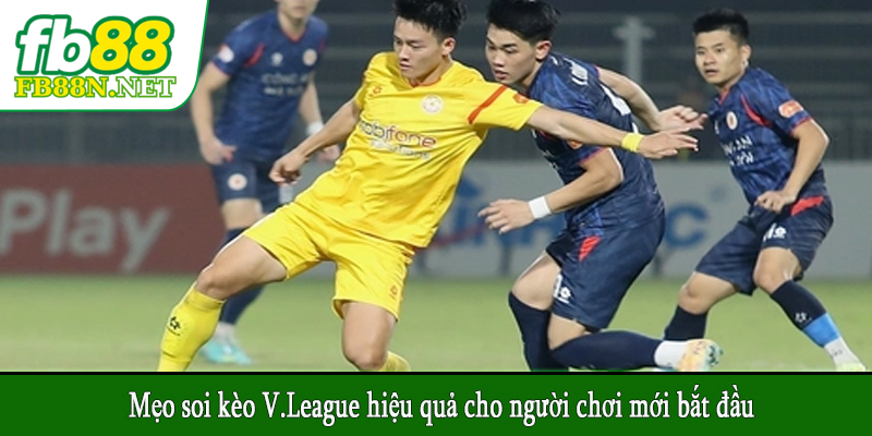 Mẹo soi kèo V.League hiệu quả cho người chơi mới bắt đầu