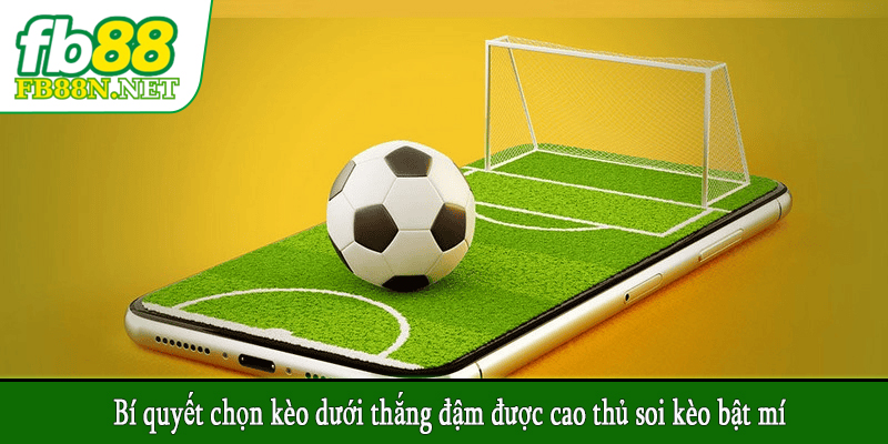Bí quyết chọn kèo dưới thắng đậm được cao thủ soi kèo bật mí