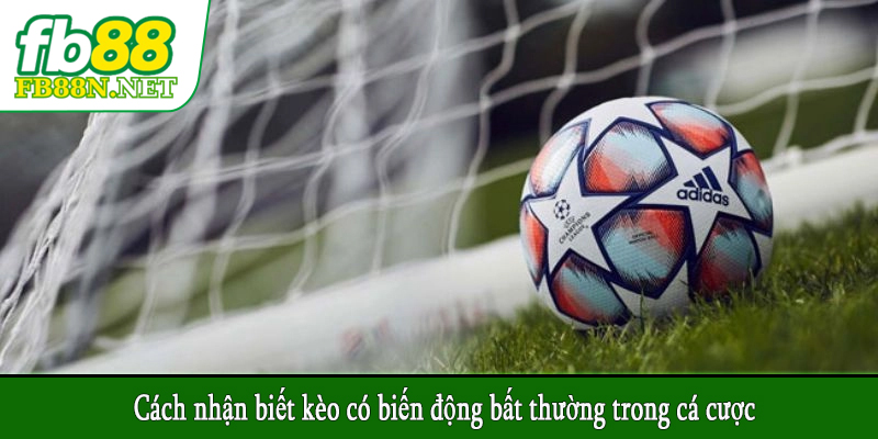 Cách nhận biết kèo có biến động bất thường trong cá cược