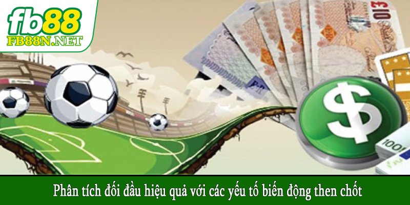 Phân tích đối đầu hiệu quả với các yếu tố biến động then chốt