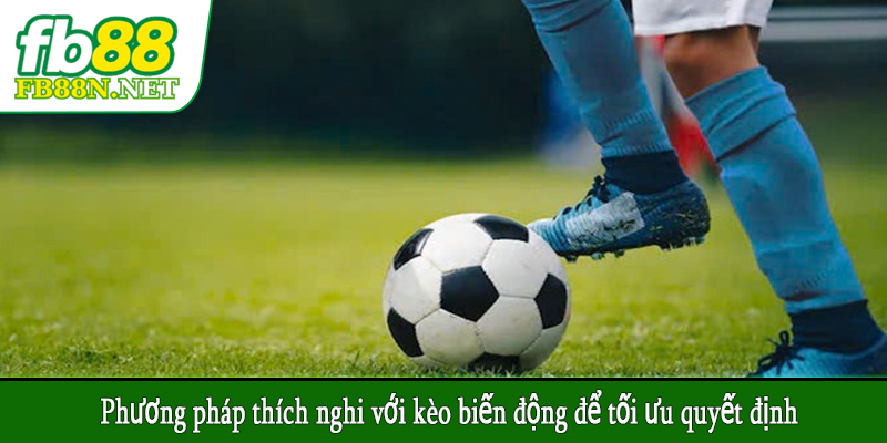 Phương pháp thích nghi với kèo biến động để tối ưu quyết định
