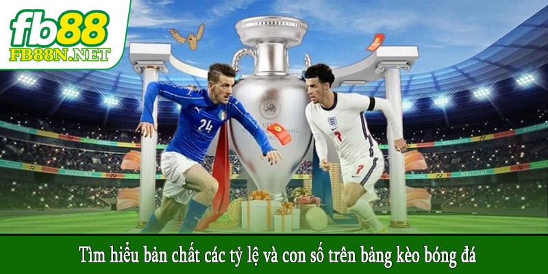 Tìm hiểu bản chất các tỷ lệ và con số trên bảng kèo bóng đá