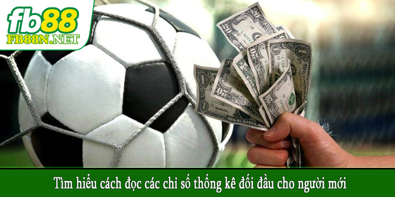 Tìm hiểu cách đọc các chỉ số thống kê đối đầu cho người mới