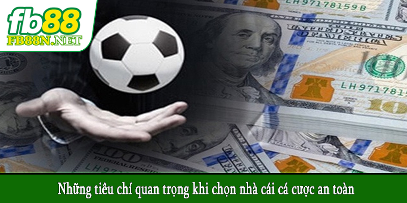 Những tiêu chí quan trọng khi chọn nhà cái cá cược an toàn