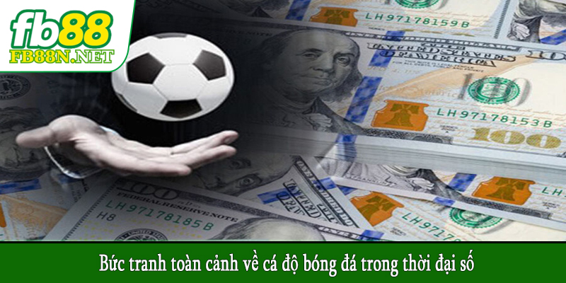 Bức tranh toàn cảnh về cá độ bóng đá trong thời đại số