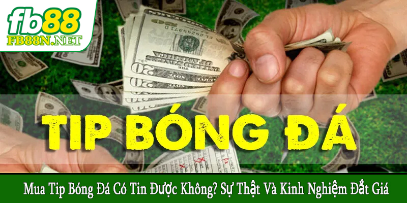 mua tip bóng đá có tin được không