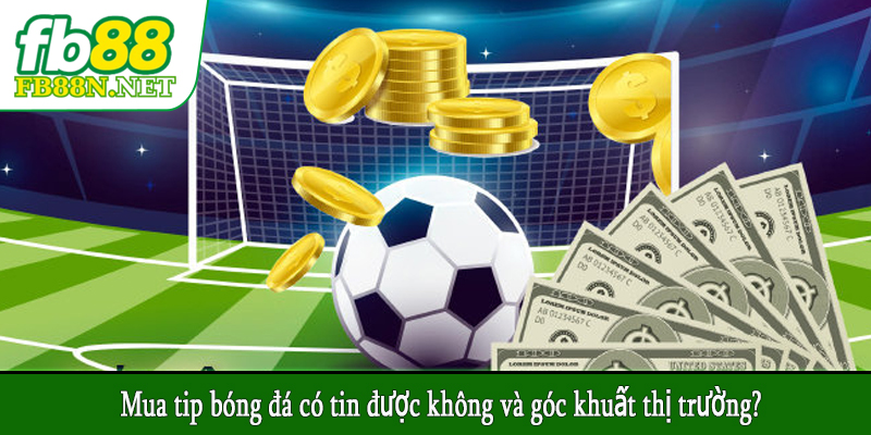 Mua tip bóng đá có tin được không và góc khuất thị trường?