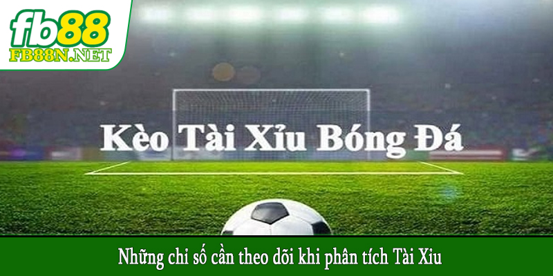 Những chỉ số cần theo dõi khi phân tích Tài Xỉu