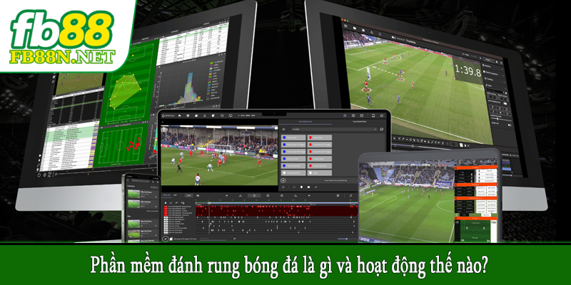 Phần mềm đánh rung bóng đá là gì và hoạt động thế nào?