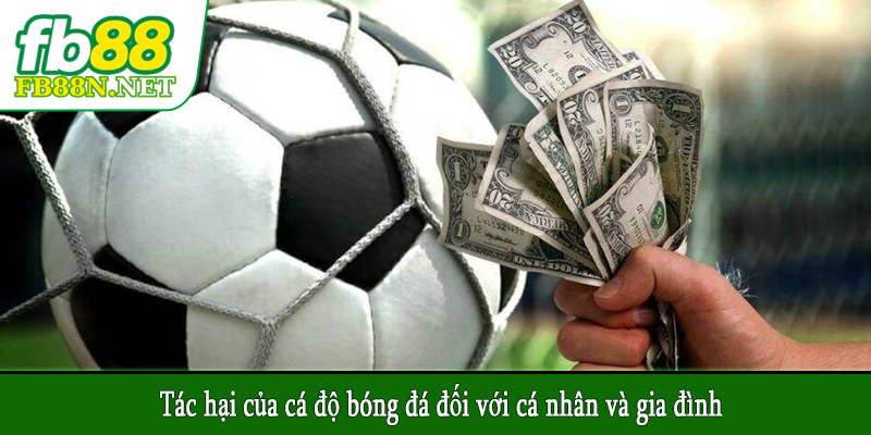 Tác hại của cá độ bóng đá đối với cá nhân và gia đình