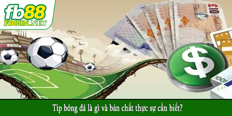 Tip bóng đá là gì và bản chất thực sự cần biết?