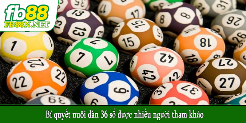 Bí quyết nuôi dàn 36 số được nhiều người tham khảo