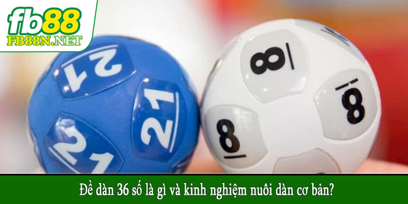 Đề dàn 36 số là gì và kinh nghiệm nuôi dàn cơ bản?