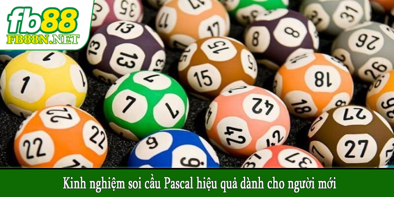 Kinh nghiệm soi cầu Pascal hiệu quả dành cho người mới