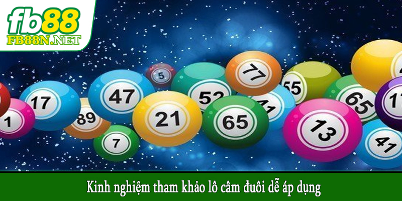 Kinh nghiệm tham khảo lô câm đuôi dễ áp dụng