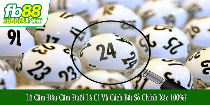 lô câm đầu câm đuôi là gì và cách bắt số
