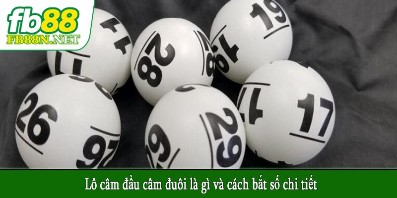 Lô câm đầu câm đuôi là gì và cách bắt số chi tiết