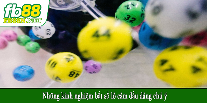 Những kinh nghiệm bắt số lô câm đầu đáng chú ý