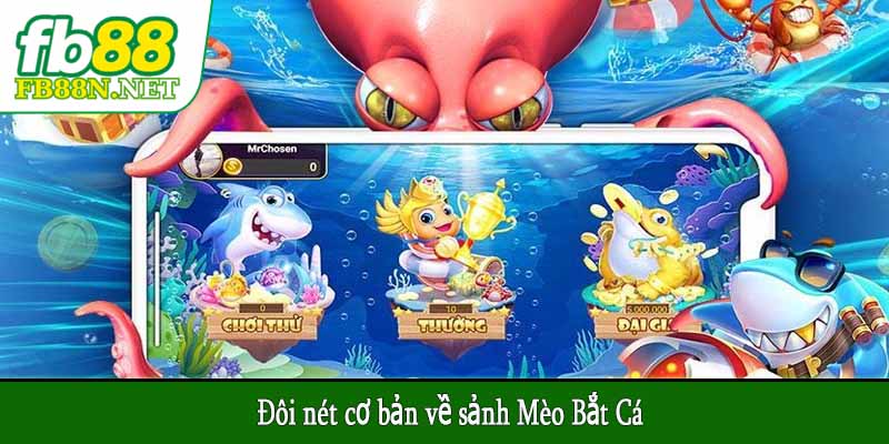 Đôi nét cơ bản về sảnh Mèo Bắt Cá